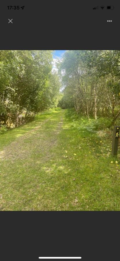 Market Street Shepherd'S Hut Leitrim Dromahair Εξωτερικό φωτογραφία